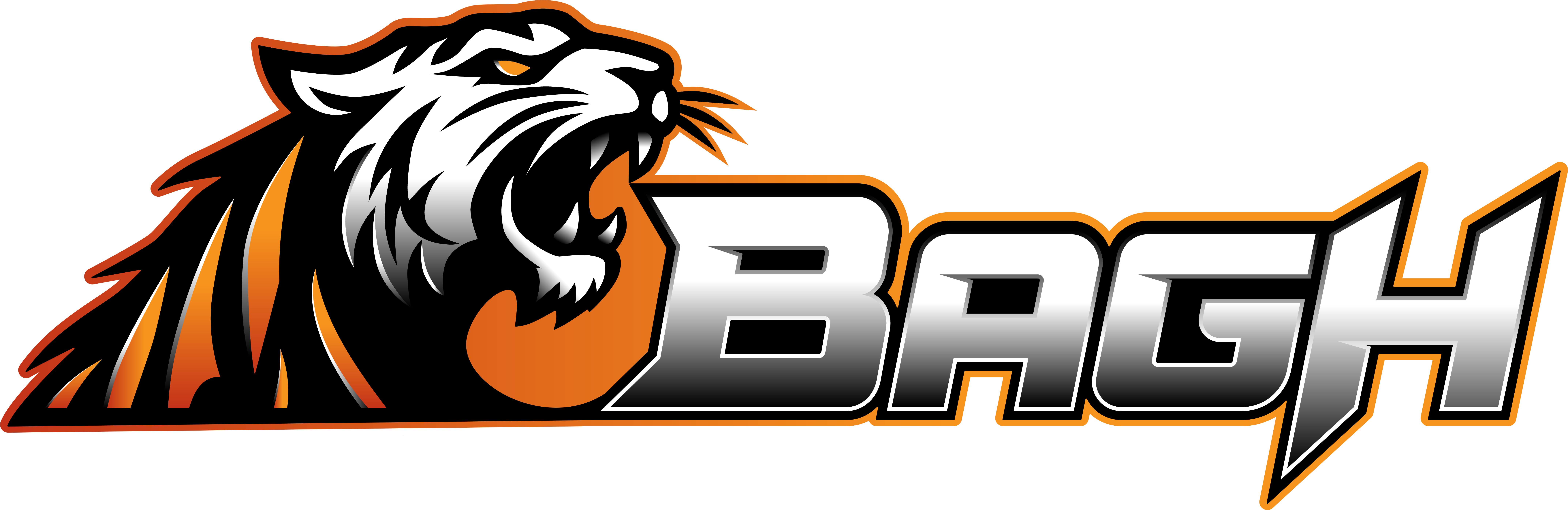 Bagh